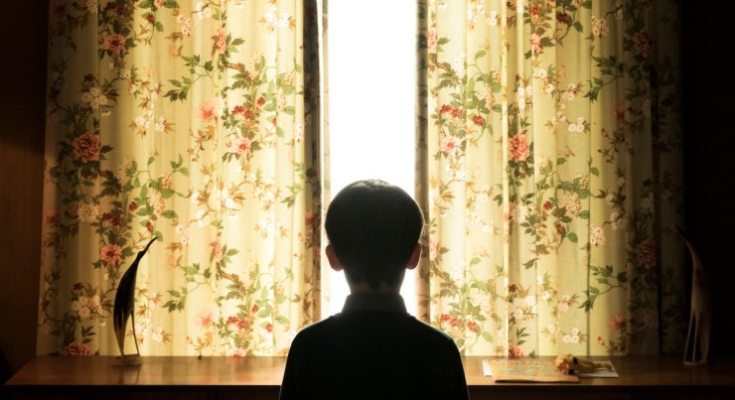 Film Review -The Hole In The Ground&nbsp;(2019)