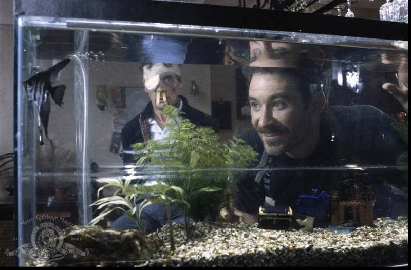 Best Films On BBC iPlayer (5th December&nbsp;2021)